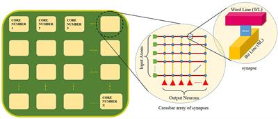 HFNet: A CNN Architecture Co-designed for Neuromorphic Hardware With a Crossbar Array of Synapses